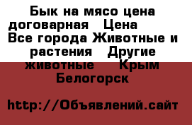 Бык на мясо цена договарная › Цена ­ 300 - Все города Животные и растения » Другие животные   . Крым,Белогорск